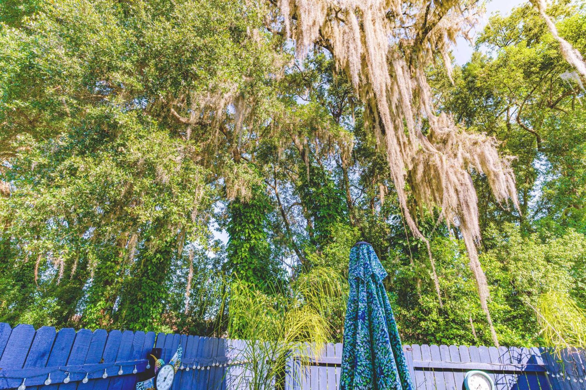 The Estate At Mt Dora Hotel Mount Dora Exterior foto